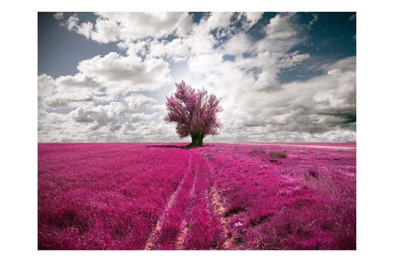 Fototapet Magenta Meadow 200x154, Artgeist sp. z o. o.