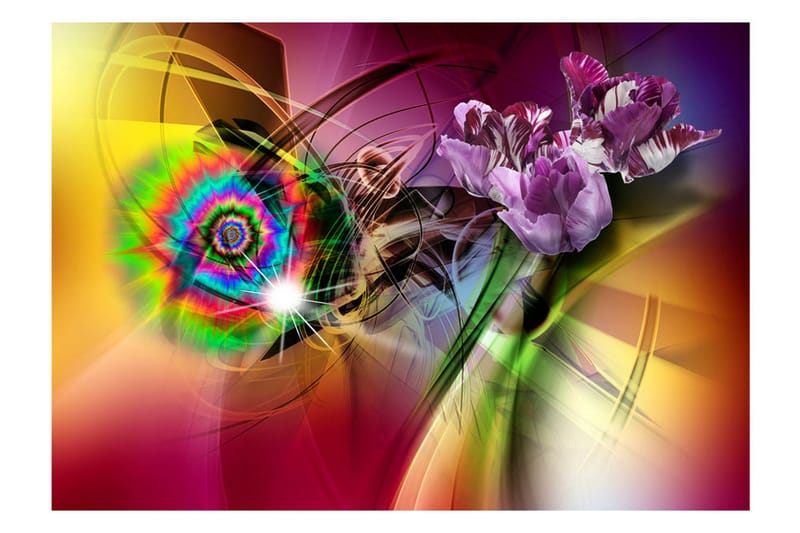 Fototapet Magic Light Of Colors 100x70 - Artgeist sp. z o. o. - Innredning - Veggdekorasjon - Tapeter - Fototapeter