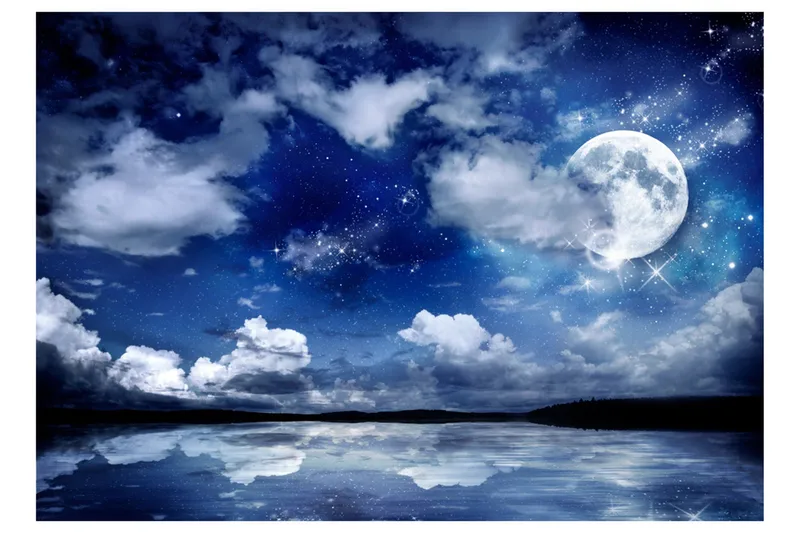 Fototapet Magic Night 300x210 - Artgeist sp. z o. o. - Innredning - Veggdekorasjon - Tapeter - Fototapeter