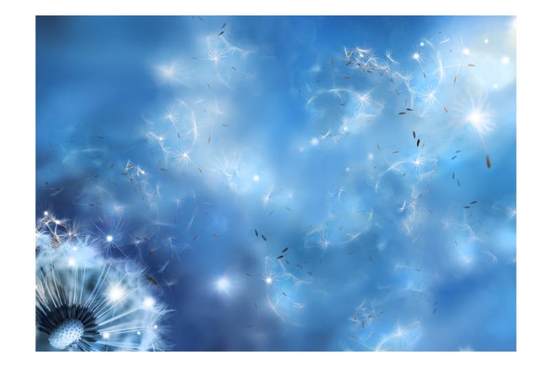 Fototapet Magic Of Nature 400x280 - Artgeist sp. z o. o. - Innredning - Veggdekorasjon - Tapeter - Fototapeter