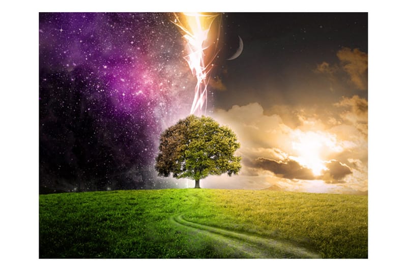 Fototapet Magic Tree 250x193 - Artgeist sp. z o. o. - Innredning - Veggdekorasjon - Tapeter - Fototapeter