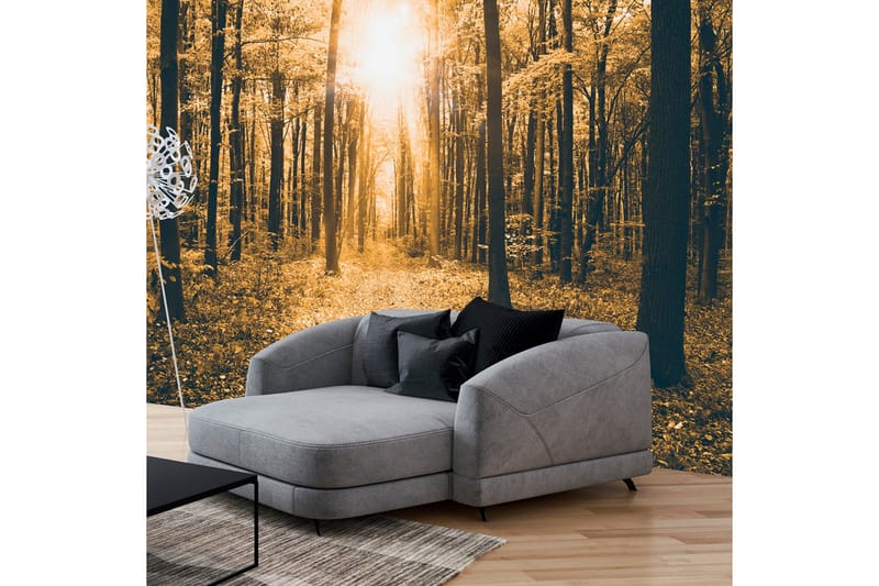 Fototapet Magical Light 300x210 - Artgeist sp. z o. o. - Innredning - Veggdekorasjon - Tapeter - Fototapeter