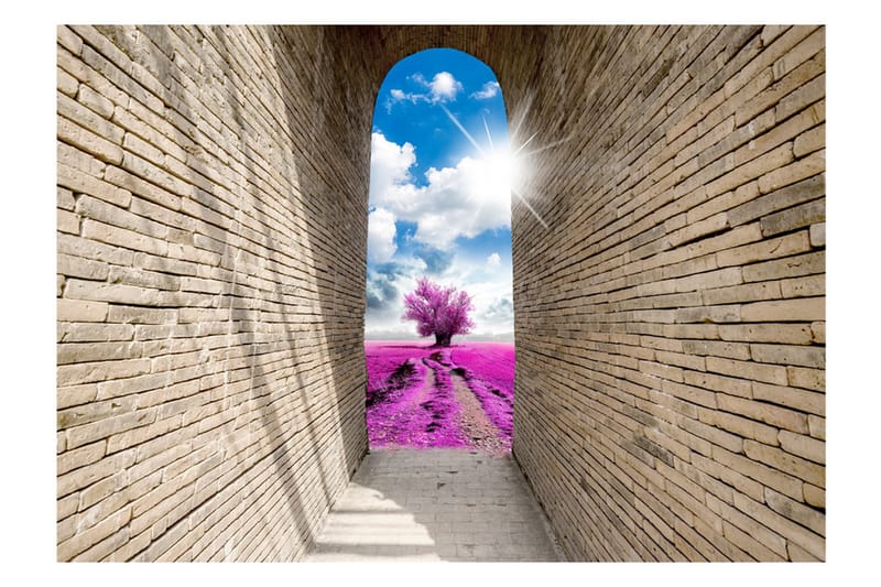 Fototapet Magical Passage 400x280 - Artgeist sp. z o. o. - Innredning - Veggdekorasjon - Tapeter - Fototapeter