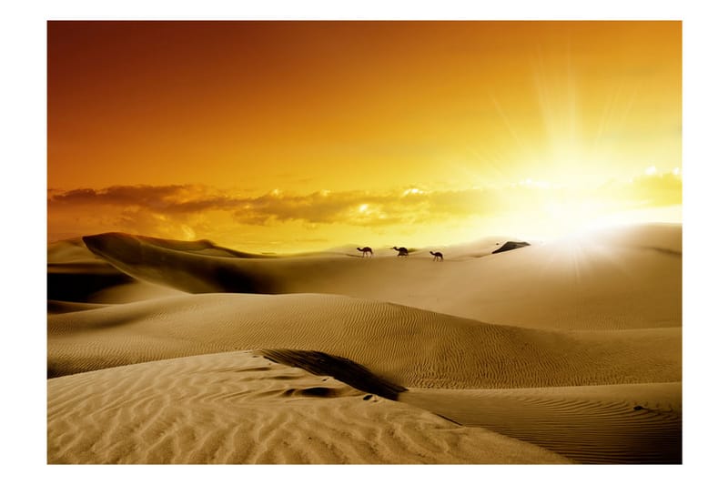 Fototapet March Of Camels 350x245 - Artgeist sp. z o. o. - Innredning - Veggdekorasjon - Tapeter - Fototapeter