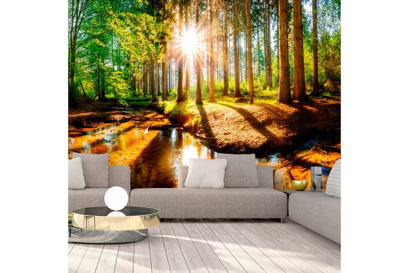 Fototapet Marvelous Forest 300x210 - Artgeist sp. z o. o. - Innredning - Veggdekorasjon - Tapeter - Fototapeter