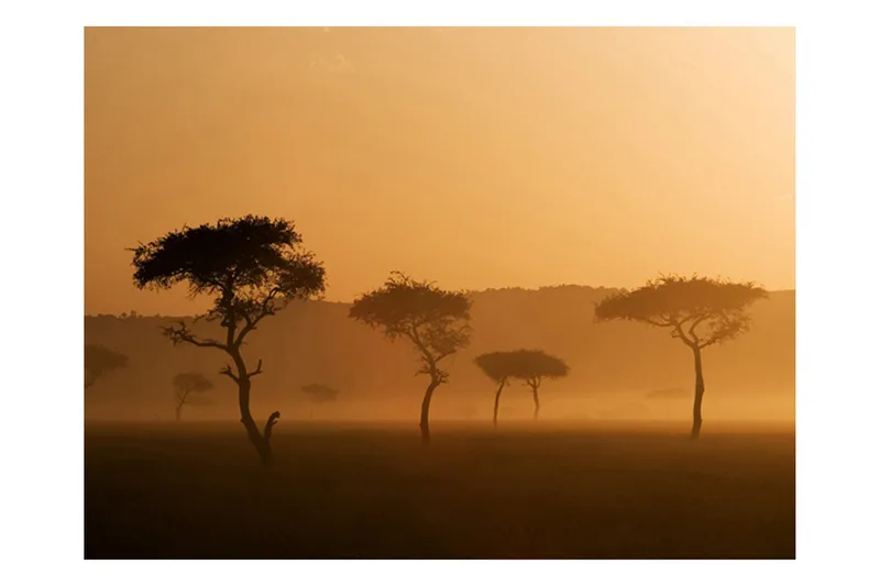 Fototapet Massai Mara 300x231 - Artgeist sp. z o. o. - Innredning - Veggdekorasjon - Tapeter - Fototapeter