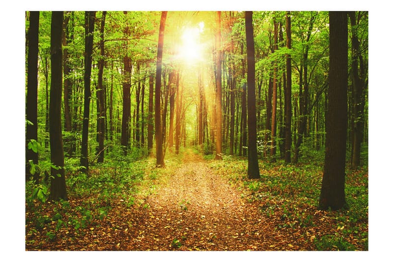 Fototapet Mirror Of Nature 250x175 - Artgeist sp. z o. o. - Innredning - Veggdekorasjon - Tapeter - Fototapeter