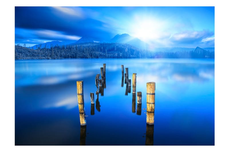 Fototapet Moments Of Solitude 300x210 - Artgeist sp. z o. o. - Innredning - Veggdekorasjon - Tapeter - Fototapeter