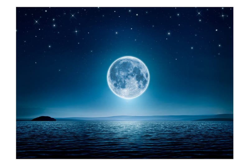 Fototapet Moonlit Night 100x70 - Artgeist sp. z o. o. - Innredning - Veggdekorasjon - Tapeter - Fototapeter