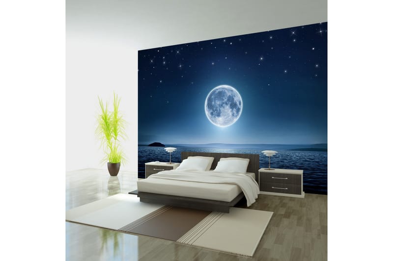 Fototapet Moonlit Night 250x175 - Artgeist sp. z o. o. - Innredning - Veggdekorasjon - Tapeter - Fototapeter