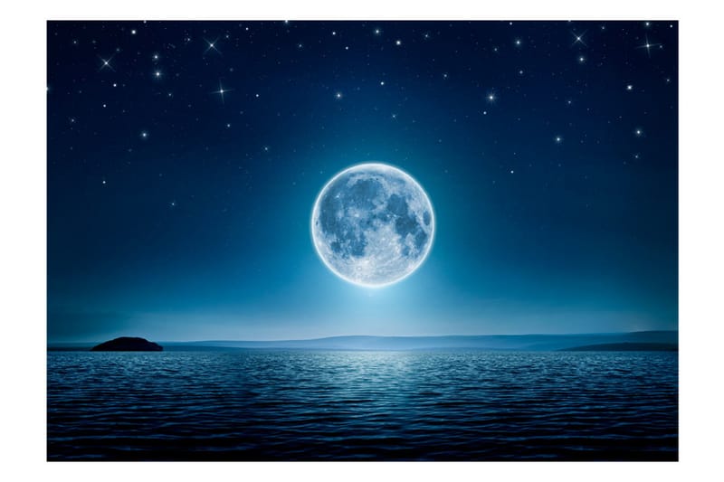 Fototapet Moonlit Night 300x210 - Artgeist sp. z o. o. - Innredning - Veggdekorasjon - Tapeter - Fototapeter