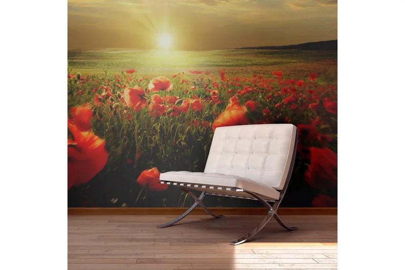 Fototapet Morgen På Vallmueeng 450x270, Artgeist sp. z o. o.