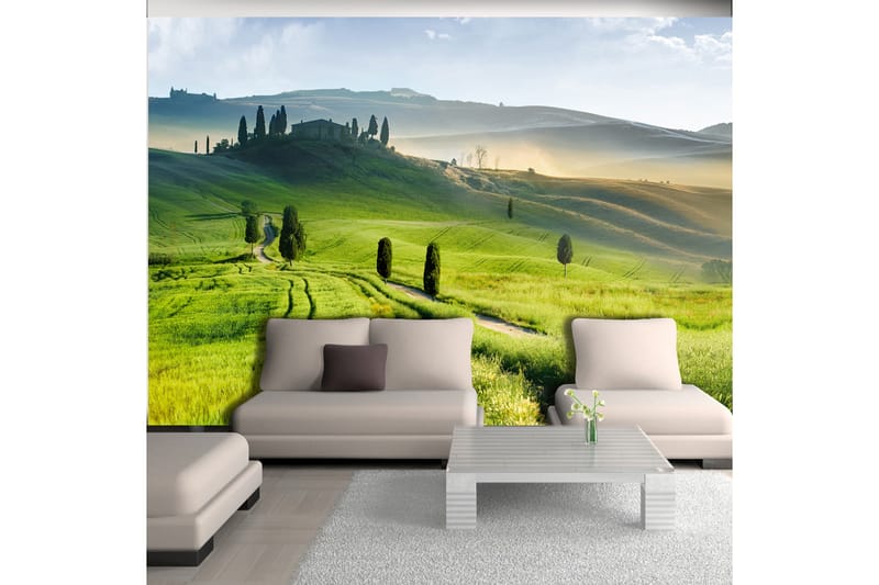 Fototapet Morning In The Countryside 200x140 - Artgeist sp. z o. o. - Innredning - Veggdekorasjon - Tapeter - Fototapeter