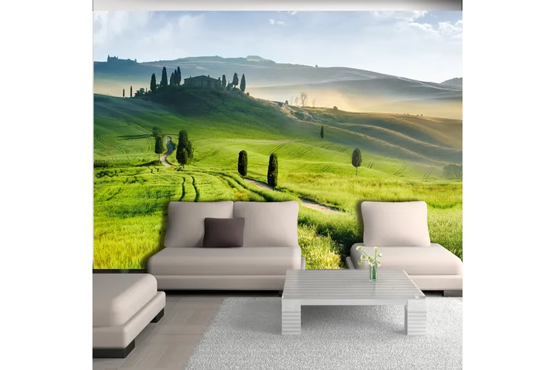 Fototapet Morning In The Countryside 250x175 - Artgeist sp. z o. o. - Innredning - Veggdekorasjon - Tapeter - Fototapeter