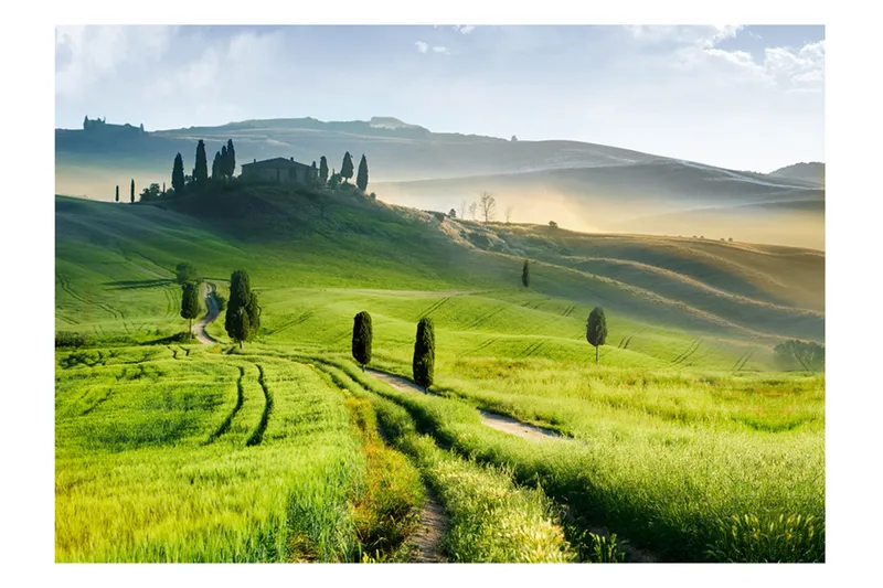 Fototapet Morning In The Countryside 250x175, Artgeist sp. z o. o.