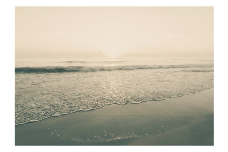 Fototapet Morning Kiss 200x140 - Artgeist sp. z o. o. - Innredning - Veggdekorasjon - Tapeter - Fototapeter