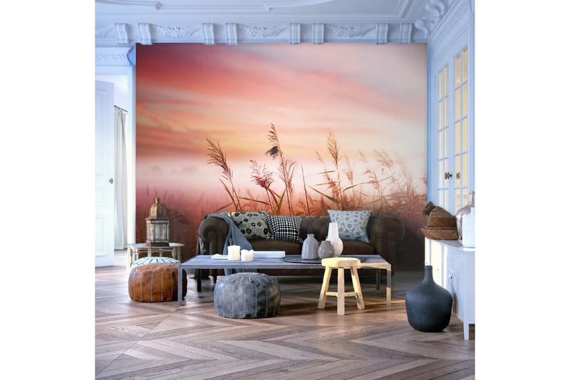 Fototapet Morning Meadow 250x193, Artgeist sp. z o. o.