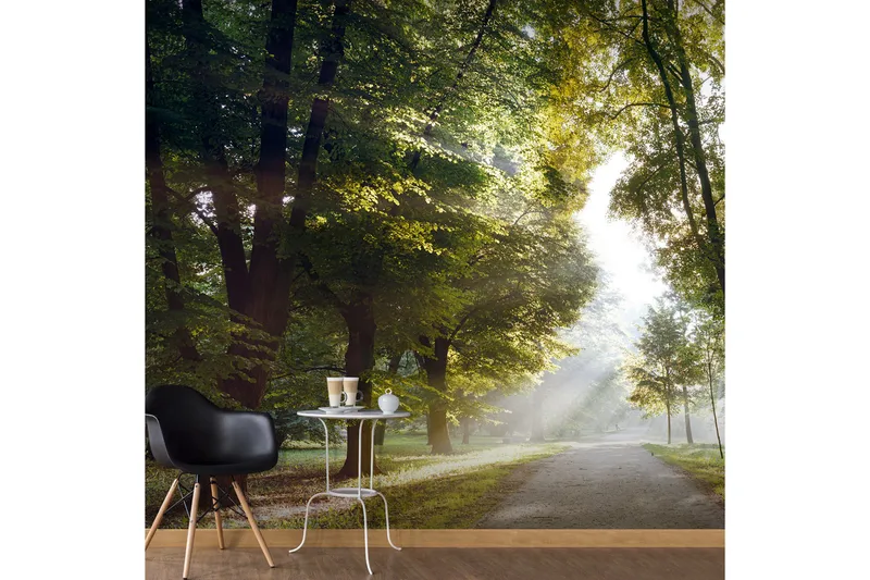 Fototapet Morning Walk 300x210, Artgeist sp. z o. o.