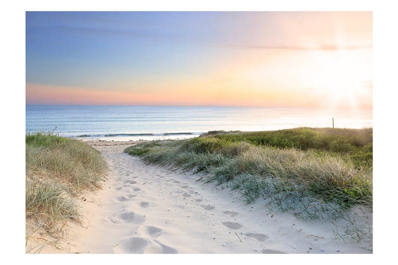 Fototapet Morning Walk On The Beach 100x70 - Artgeist sp. z o. o. - Innredning - Veggdekorasjon - Tapeter - Fototapeter