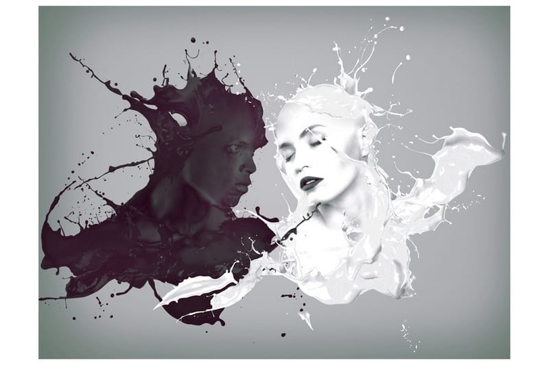 Fototapet Motsetninger Tiltrekker 350x270 - Artgeist sp. z o. o. - Innredning - Veggdekorasjon - Tapeter - Fototapeter