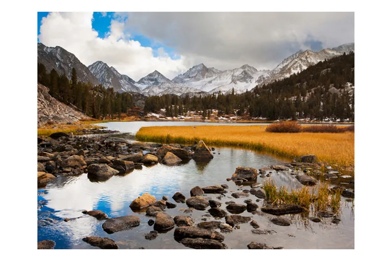 Fototapet Mountain Stream 250x193, Artgeist sp. z o. o.