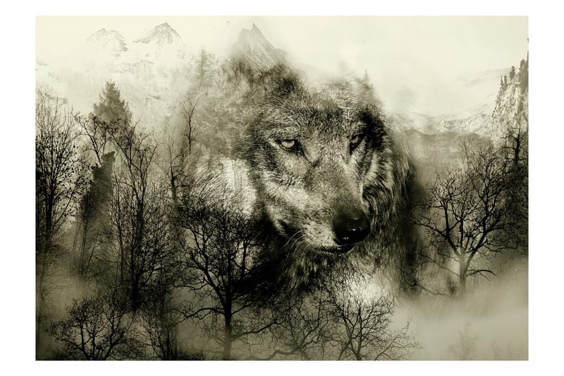 Fototapet Mountain Predator Beige 250x175, Artgeist sp. z o. o.