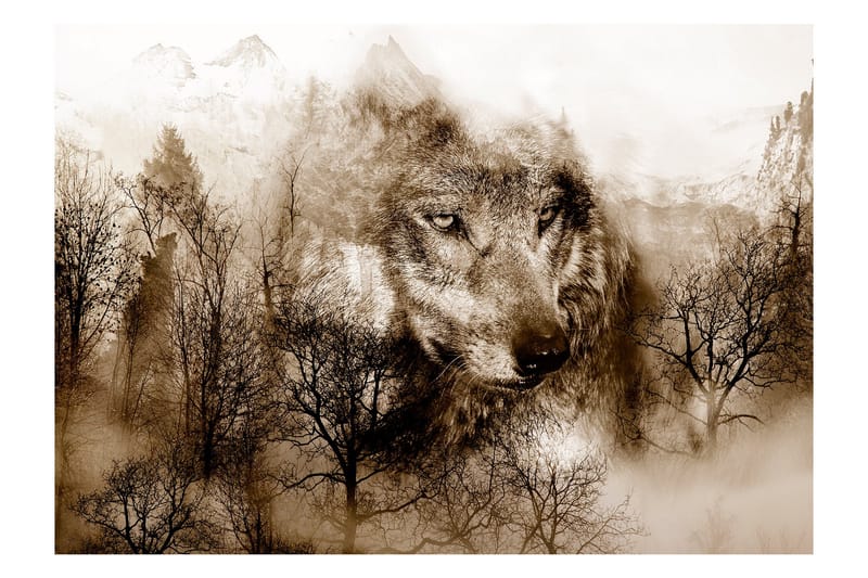 Fototapet Mountain Predator Brown 200x140, Artgeist sp. z o. o.