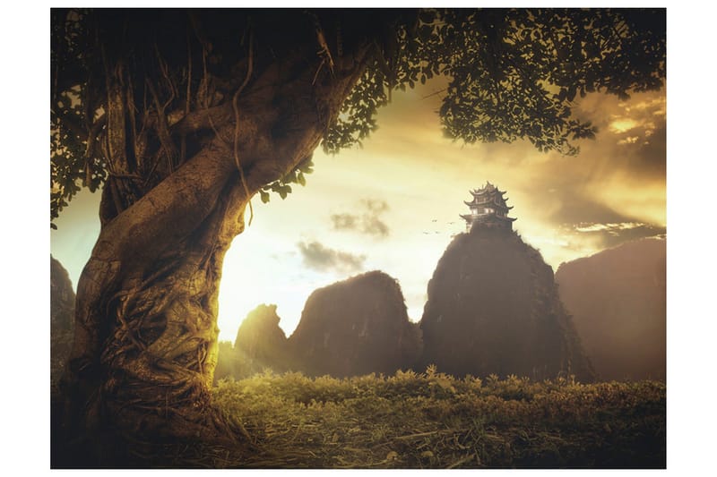 Fototapet Mysterious China 350x270 - Artgeist sp. z o. o. - Innredning - Veggdekorasjon - Tapeter - Fototapeter