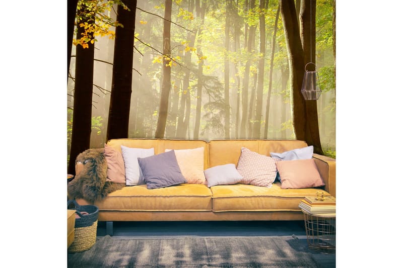 Fototapet Mysterious Forest Path 350x270, Artgeist sp. z o. o.