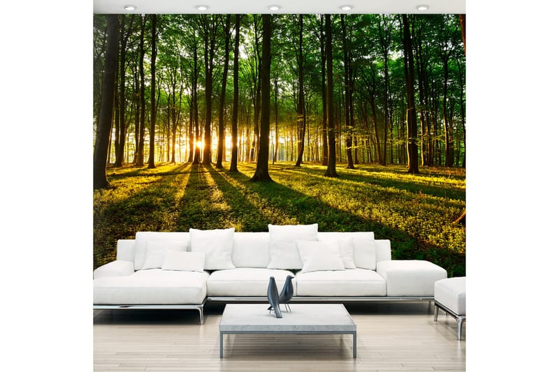 Fototapet Mystical Morning 350x245 - Artgeist sp. z o. o. - Innredning - Veggdekorasjon - Tapeter - Fototapeter