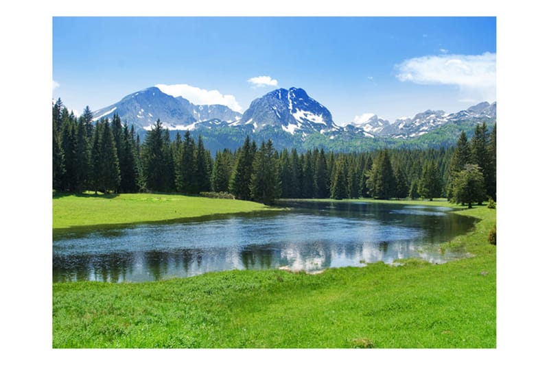 Fototapet National Park Durmitor Montenegro 250x193 - Artgeist sp. z o. o. - Innredning - Veggdekorasjon - Tapeter - Fototapeter