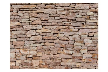 Fototapet Natural stone wall 250x193 - Artgeist sp. z o. o. - Innredning - Veggdekorasjon - Tapeter - Fototapeter
