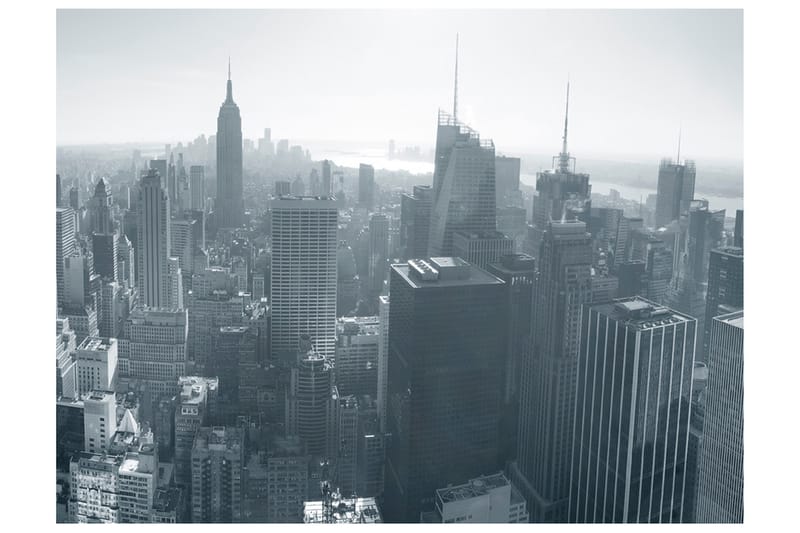 Fototapet New Yorks Skyline Svart Og Hvit 350x270, Artgeist sp. z o. o.