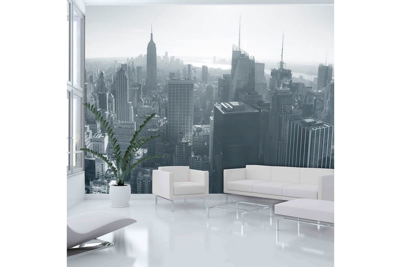 Fototapet New Yorks Skyline Svart Og Hvit 400x309 - Artgeist sp. z o. o. - Innredning - Veggdekorasjon - Tapeter - Fototapeter