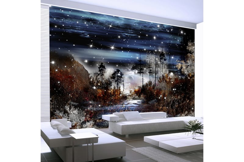 Fototapet Night In The Forest 250x175, Artgeist sp. z o. o.