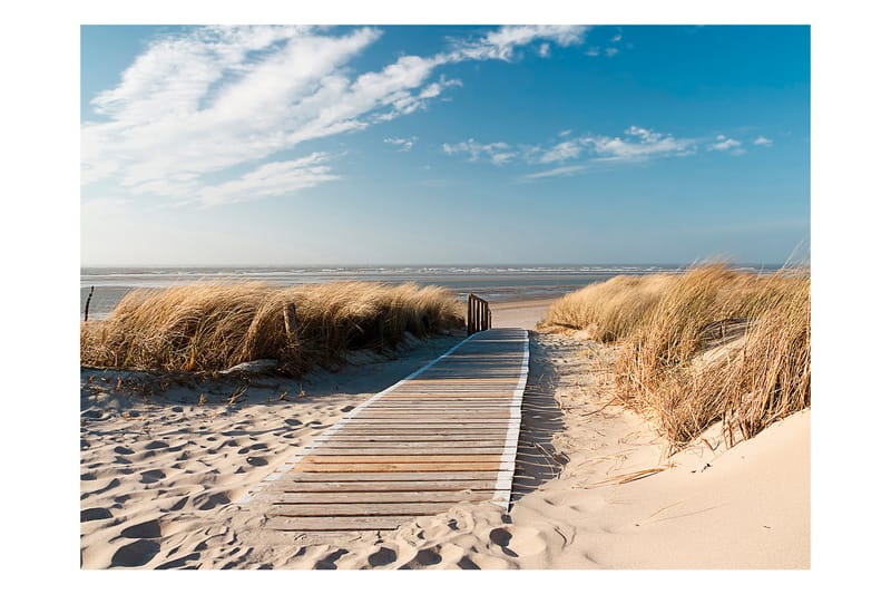 Fototapet Nordsjøens Strand Langeoog 400x309 - Artgeist sp. z o. o. - Innredning - Veggdekorasjon - Tapeter - Fototapeter