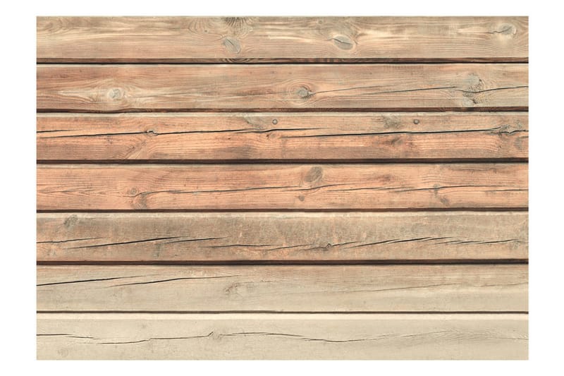 Fototapet Old Pine 100x70 - Artgeist sp. z o. o. - Innredning - Veggdekorasjon - Tapeter - Fototapeter