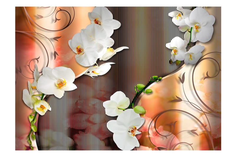 Fototapet Orchid 250x175 - Artgeist sp. z o. o. - Innredning - Veggdekorasjon - Tapeter - Fototapeter