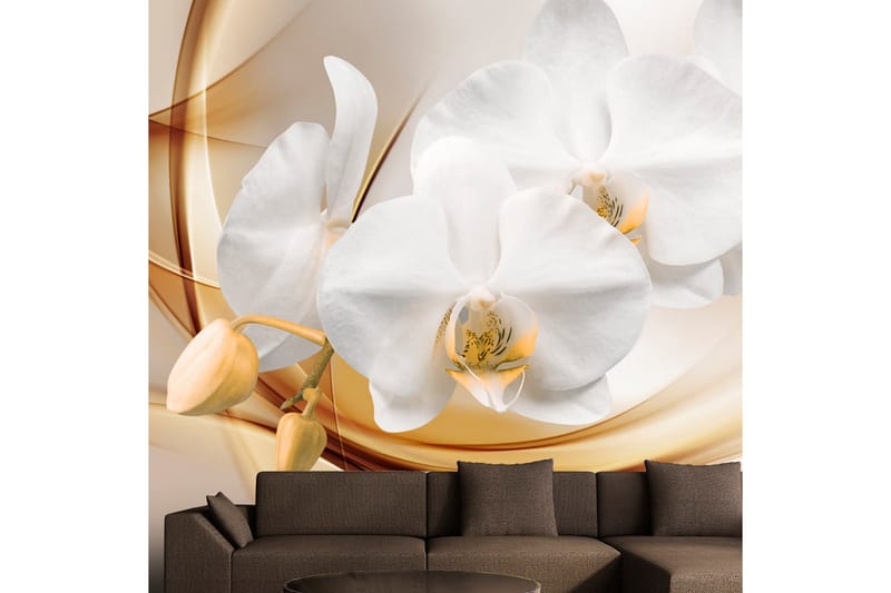 Fototapet Orchid Blossom 100x70 - Artgeist sp. z o. o. - Innredning - Veggdekorasjon - Tapeter - Fototapeter