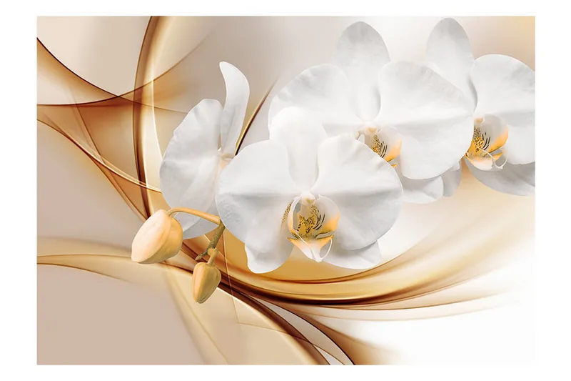 Fototapet Orchid Blossom 300x210 - Artgeist sp. z o. o. - Innredning - Veggdekorasjon - Tapeter - Fototapeter