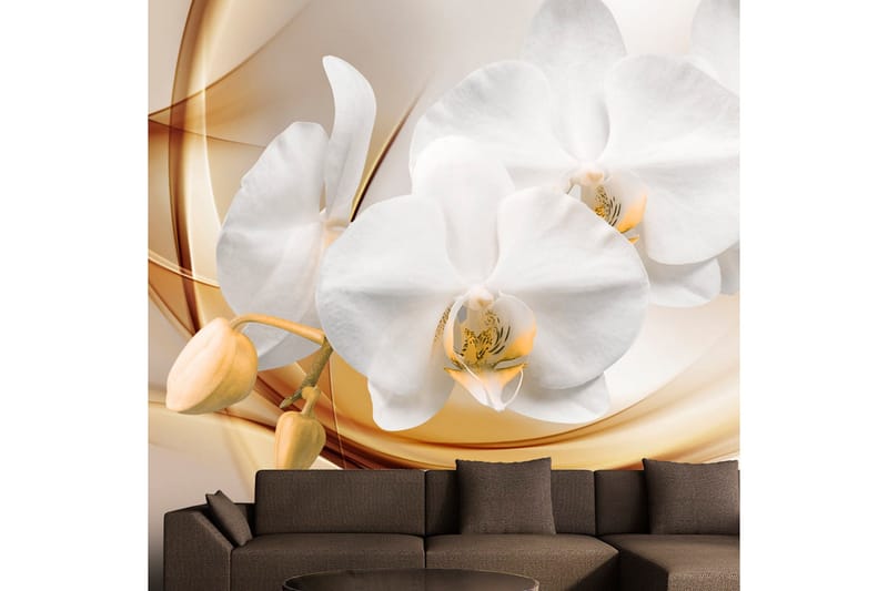 Fototapet Orchid Blossom 400x280, Artgeist sp. z o. o.