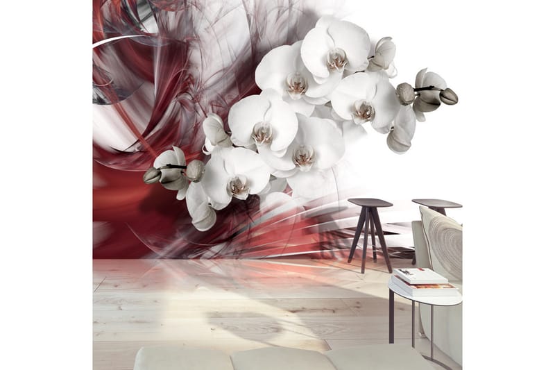 Fototapet Orchid In Red 300x210 - Artgeist sp. z o. o. - Innredning - Veggdekorasjon - Tapeter - Fototapeter