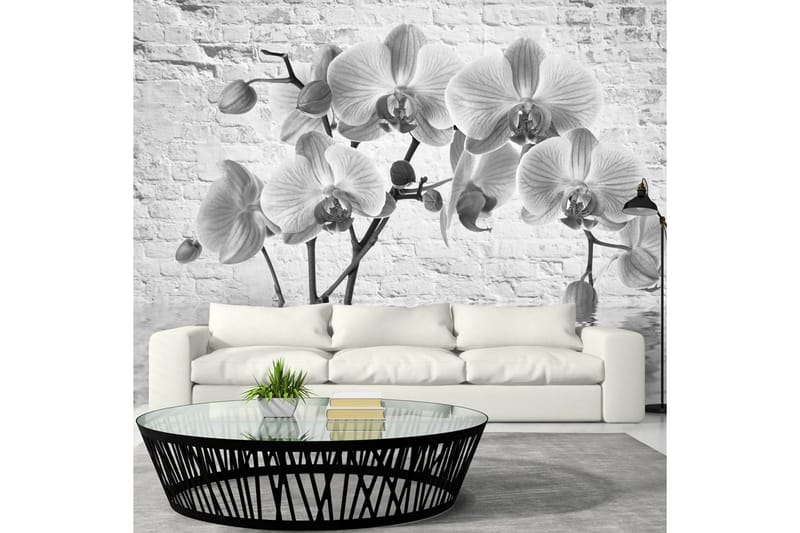 Fototapet Orchid In Shades Of Grey 200x140 - Artgeist sp. z o. o. - Innredning - Veggdekorasjon - Tapeter - Fototapeter