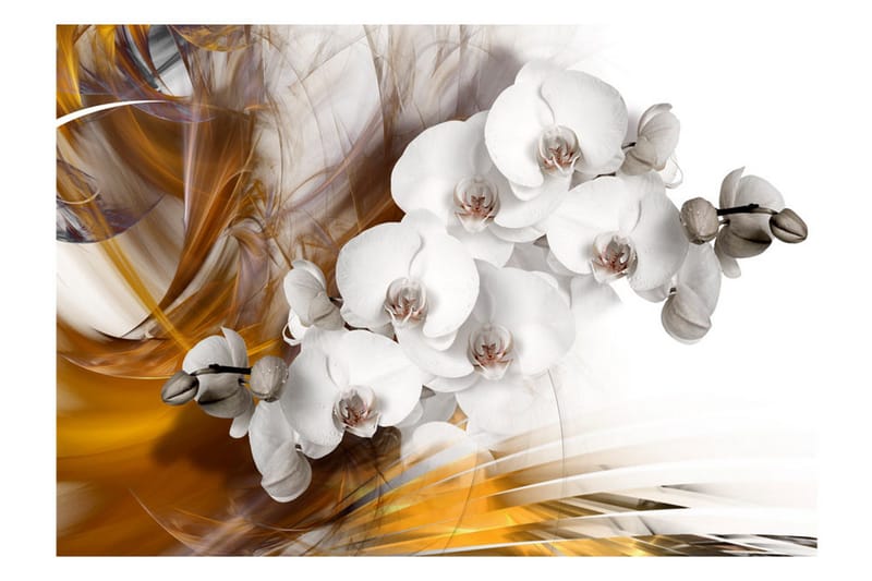 Fototapet Orchid On Fire 200x140 - Artgeist sp. z o. o. - Innredning - Veggdekorasjon - Tapeter - Fototapeter