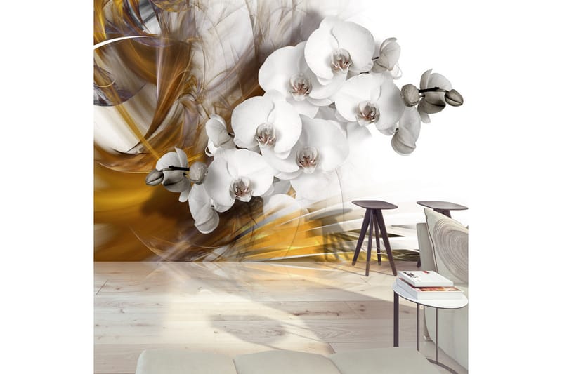 Fototapet Orchid On Fire 250x175 - Artgeist sp. z o. o. - Innredning - Veggdekorasjon - Tapeter - Fototapeter