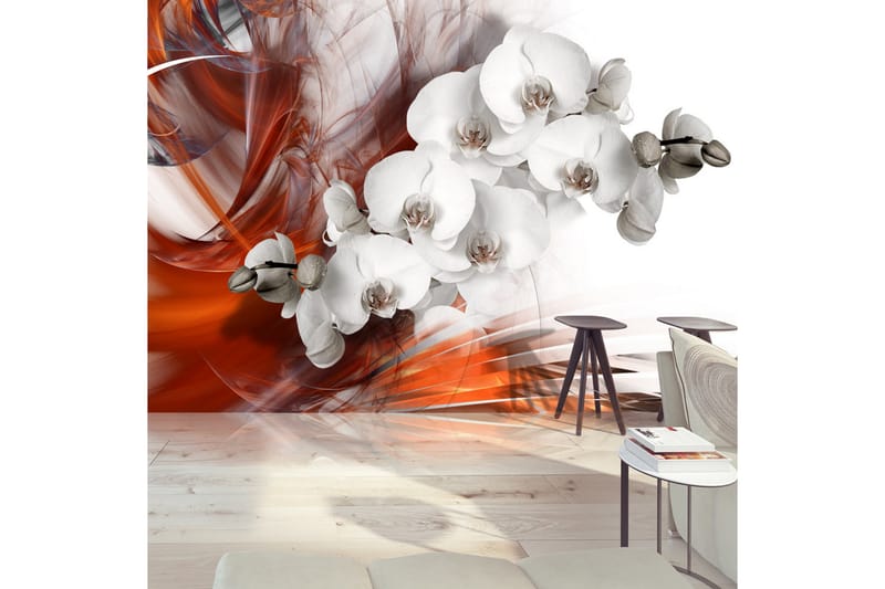 Fototapet Orchid On Fire II 350x245 - Artgeist sp. z o. o. - Innredning - Veggdekorasjon - Tapeter - Fototapeter