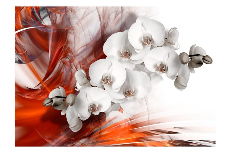 Fototapet Orchid On Fire II 400x280 - Artgeist sp. z o. o. - Innredning - Veggdekorasjon - Tapeter - Fototapeter