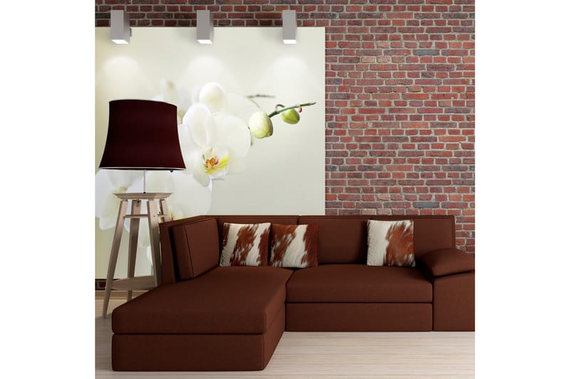 Fototapet Orchid white 200x154, Artgeist sp. z o. o.