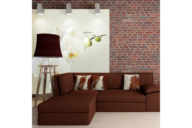 Fototapet Orchid white 200x154, Artgeist sp. z o. o.