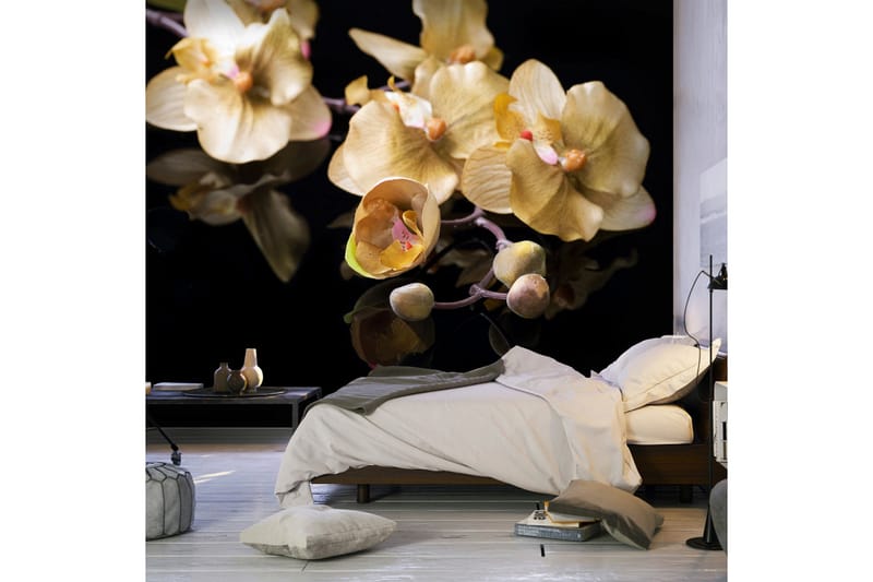 Fototapet Orchids In Ecru Color 350x270, Artgeist sp. z o. o.